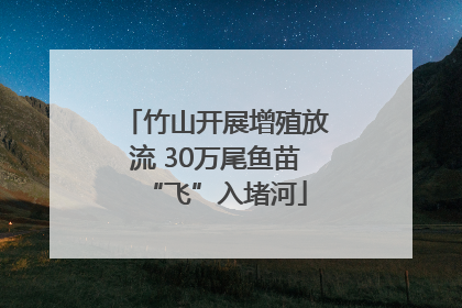 竹山开展增殖放流 30万尾鱼苗“飞”入堵河