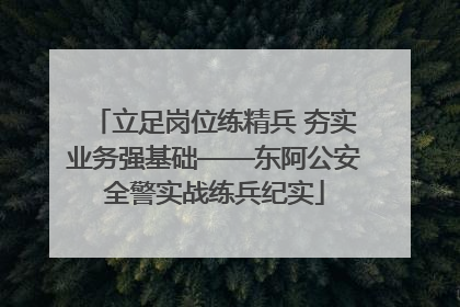 立足岗位练精兵 夯实业务强基础——东阿公安全警实战练兵纪实