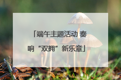 端午主题活动 奏响“双拥”新乐章