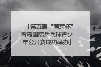 第五届“萌芽杯”青岛国际乒乓球青少年公开赛成功举办