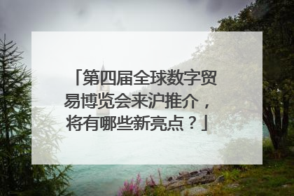 第四届全球数字贸易博览会来沪推介，将有哪些新亮点？