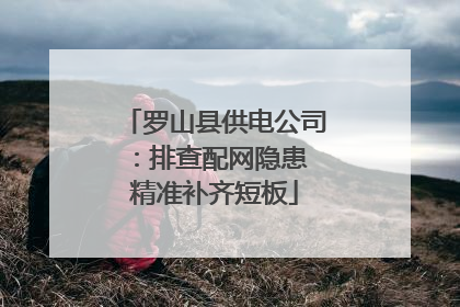 罗山县供电公司：排查配网隐患 精准补齐短板
