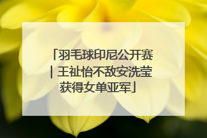 羽毛球印尼公开赛｜王祉怡不敌安洗莹 获得女单亚军