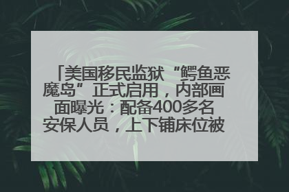 美国移民监狱“鳄鱼恶魔岛”正式启用，内部画面曝光：配备400多名安保人员，上下铺床位被罩在铁丝网里