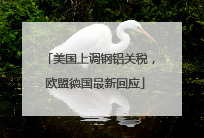 美国上调钢铝关税，欧盟德国最新回应
