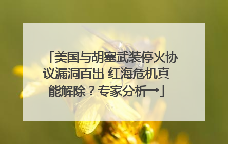美国与胡塞武装停火协议漏洞百出 红海危机真能解除？专家分析→