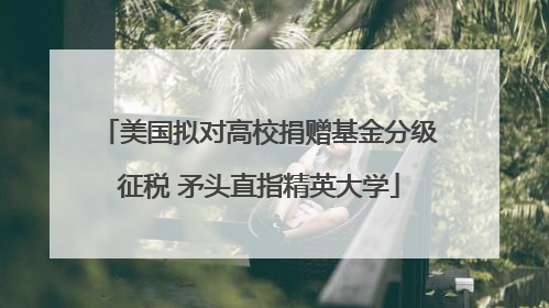 美国拟对高校捐赠基金分级征税 矛头直指精英大学
