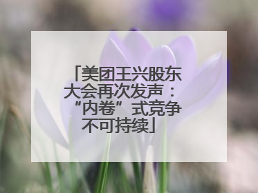 美团王兴股东大会再次发声：“内卷”式竞争不可持续