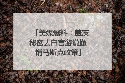 美媒爆料：盖茨秘密去白宫游说撤销马斯克政策