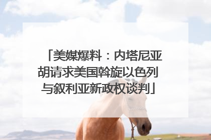 美媒爆料：内塔尼亚胡请求美国斡旋以色列与叙利亚新政权谈判