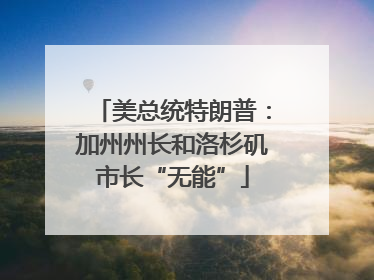 美总统特朗普：加州州长和洛杉矶市长“无能”