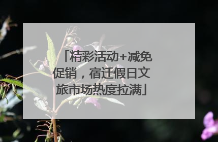 精彩活动+减免促销，宿迁假日文旅市场热度拉满