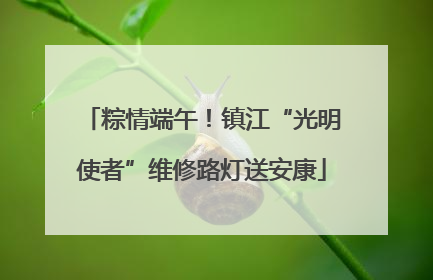粽情端午！镇江“光明使者”维修路灯送安康
