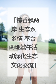 粽香飘两岸 生态系乡情 奉台两地端午活动深化生态文化交流