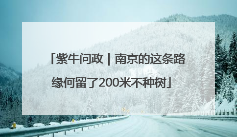 紫牛问政｜南京的这条路缘何留了200米不种树