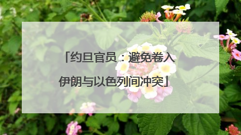 约旦官员：避免卷入伊朗与以色列间冲突