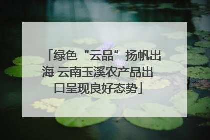 绿色“云品”扬帆出海 云南玉溪农产品出口呈现良好态势