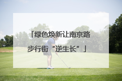 绿色焕新让南京路步行街“逆生长”