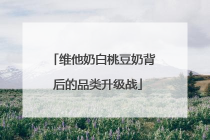 维他奶白桃豆奶背后的品类升级战