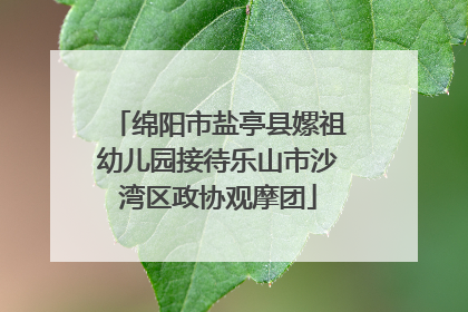 绵阳市盐亭县嫘祖幼儿园接待乐山市沙湾区政协观摩团