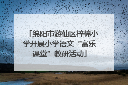 绵阳市游仙区梓棉小学开展小学语文“富乐课堂”教研活动