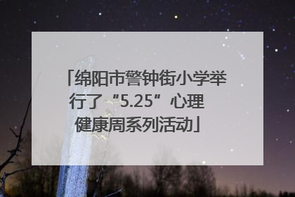 绵阳市警钟街小学举行了“5.25”心理健康周系列活动