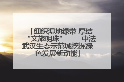 细织湿地绿带 厚结“文旅明珠”——中法武汉生态示范城挖掘绿色发展新动能