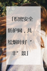 织密安全防护网，共绘烟叶好“丰”景