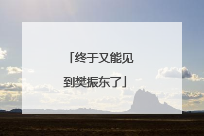 终于又能见到樊振东了