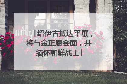 绍伊古抵达平壤，将与金正恩会面，并缅怀朝鲜战士