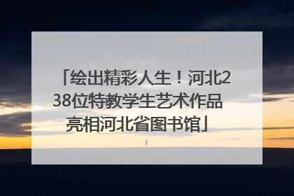 绘出精彩人生！河北238位特教学生艺术作品亮相河北省图书馆