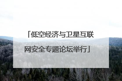 低空经济与卫星互联网安全专题论坛举行