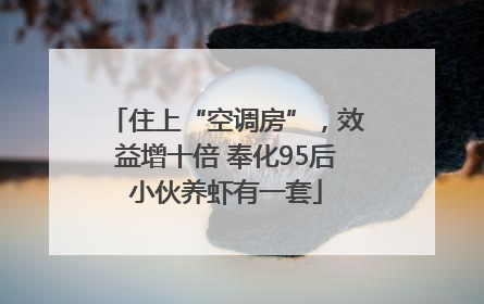 住上“空调房”，效益增十倍 奉化95后小伙养虾有一套