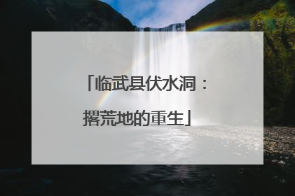 临武县伏水洞：撂荒地的重生