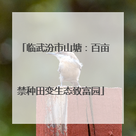 临武汾市山塘：百亩禁种田变生态致富园