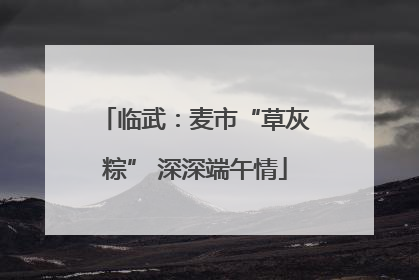 临武：麦市“草灰粽” 深深端午情