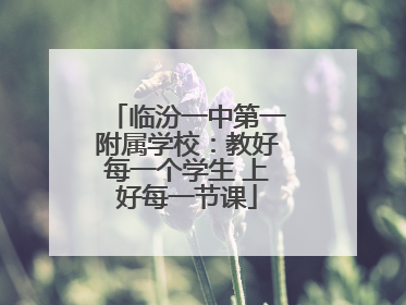 临汾一中第一附属学校：教好每一个学生 上好每一节课