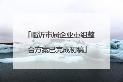 临沂市属企业重组整合方案已完成初稿