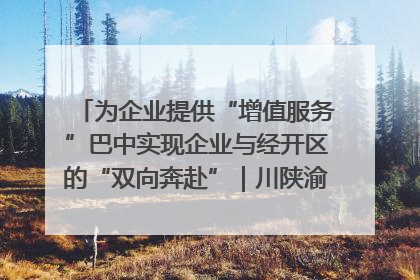 为企业提供“增值服务”巴中实现企业与经开区的“双向奔赴”｜川陕渝网络名人巴中行