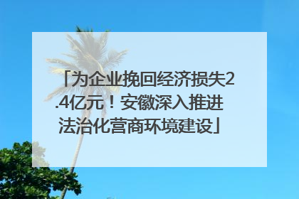 为企业挽回经济损失2.4亿元！安徽深入推进法治化营商环境建设
