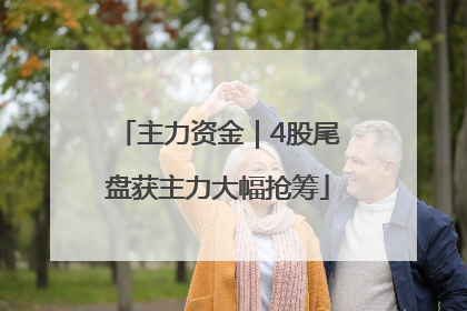 主力资金｜4股尾盘获主力大幅抢筹