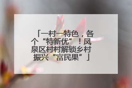一村一特色，各个“特新优”！凤泉区村村解锁乡村振兴“富民果”