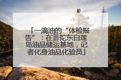 一滴油的“体检报告”：在普陀东白莲岛油品储运基地，记者化身油品化验员