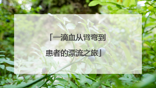 一滴血从臂弯到患者的漂流之旅