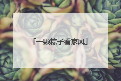 一颗粽子看家风
