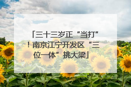 三十三岁正“当打”！南京江宁开发区“三位一体”挑大梁