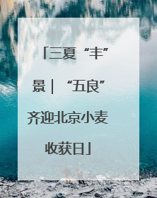 三夏“丰”景｜“五良”齐迎北京小麦收获日