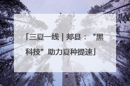 三夏一线｜郏县：“黑科技”助力夏种提速