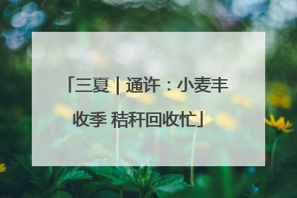三夏｜通许：小麦丰收季 秸秆回收忙
