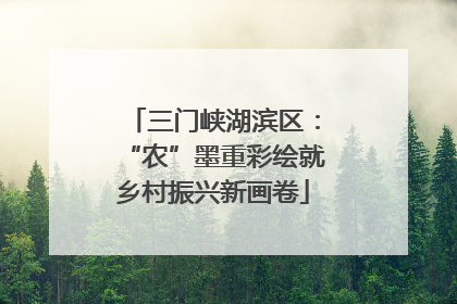 三门峡湖滨区：“农”墨重彩绘就乡村振兴新画卷